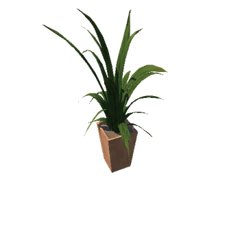 Plant 2